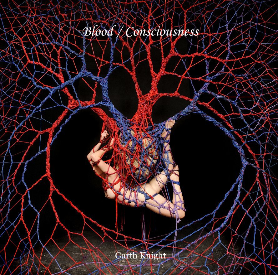 View Blood / Consciousness by Garth Knight