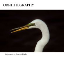 ORNITHOGRAPHY book cover