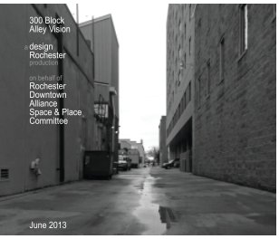 300 Block Alley Vision book cover