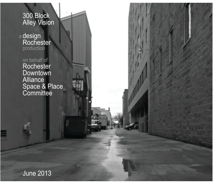 View 300 Block Alley Vision by Design Rochester