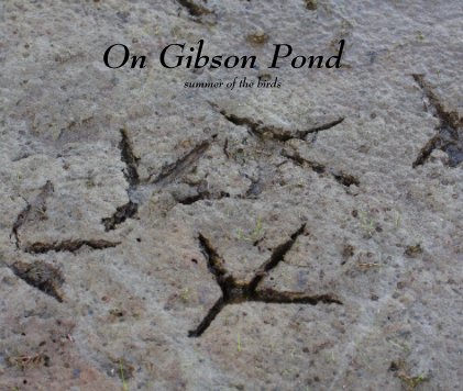 On Gibson Pond summer of the birds book cover