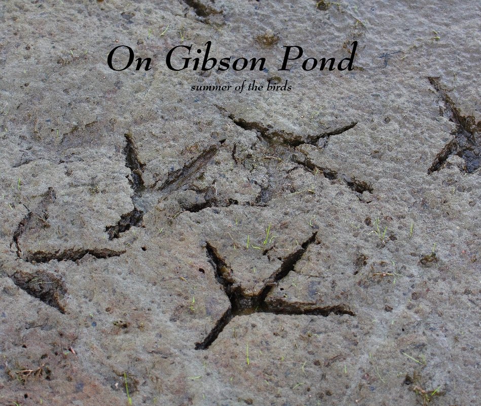 Ver On Gibson Pond summer of the birds por Tom Lockart