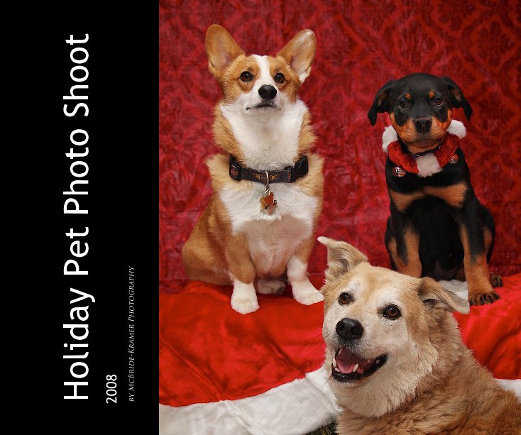 View Holiday Pet Photo Shoot by McBride-Kramer Photography