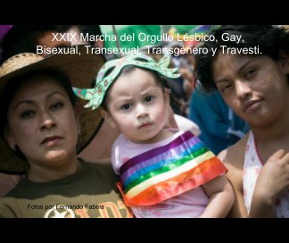 XXIX Marcha del Orgullo Lésbico, Gay, Bisexual, Transexual, Transgénero y Travesti. book cover