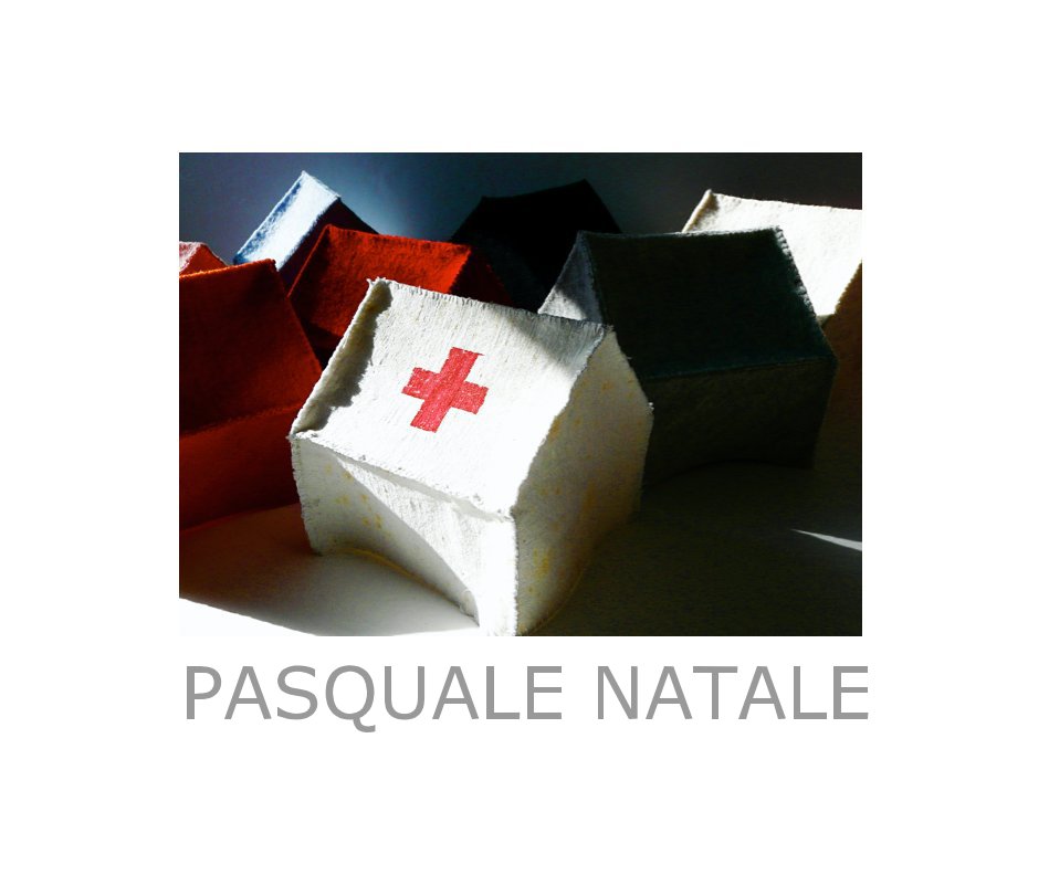 Bekijk Pasquale Natale-Home Again (coffee table edition) op A gallery Press