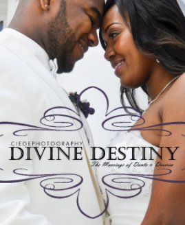 DIVINE DESTINY book cover