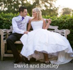 David and Shelley book cover