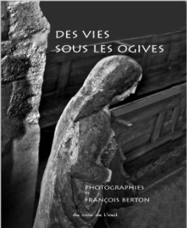 Des vies sous les ogives. book cover