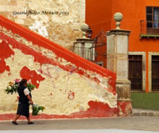 Guanajuato Mexico 2013 book cover