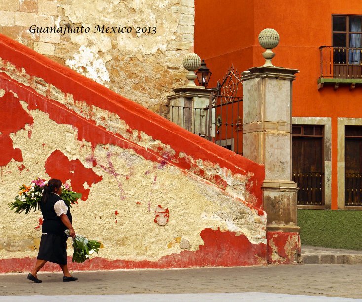 Ver Guanajuato Mexico 2013 por nanseaj