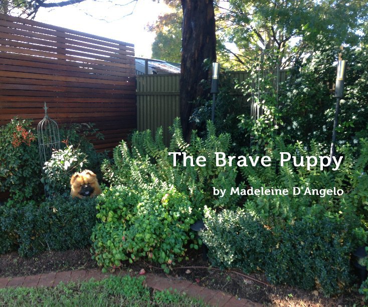 View The Brave Puppy by Madeleine D'Angelo