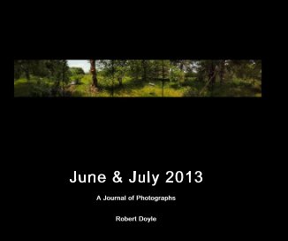 June & July 2013 book cover