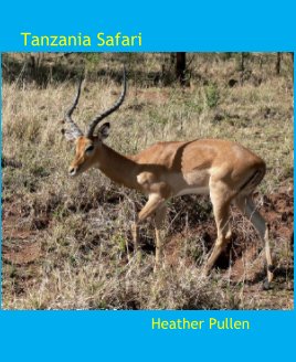 Tanzania Safari book cover