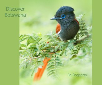 Discover Botswana book cover