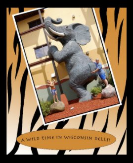 A Wild Time in Wisconsin Dells! book cover