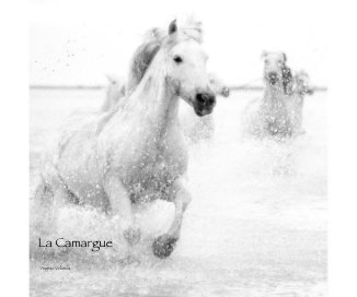 La Camargue book cover