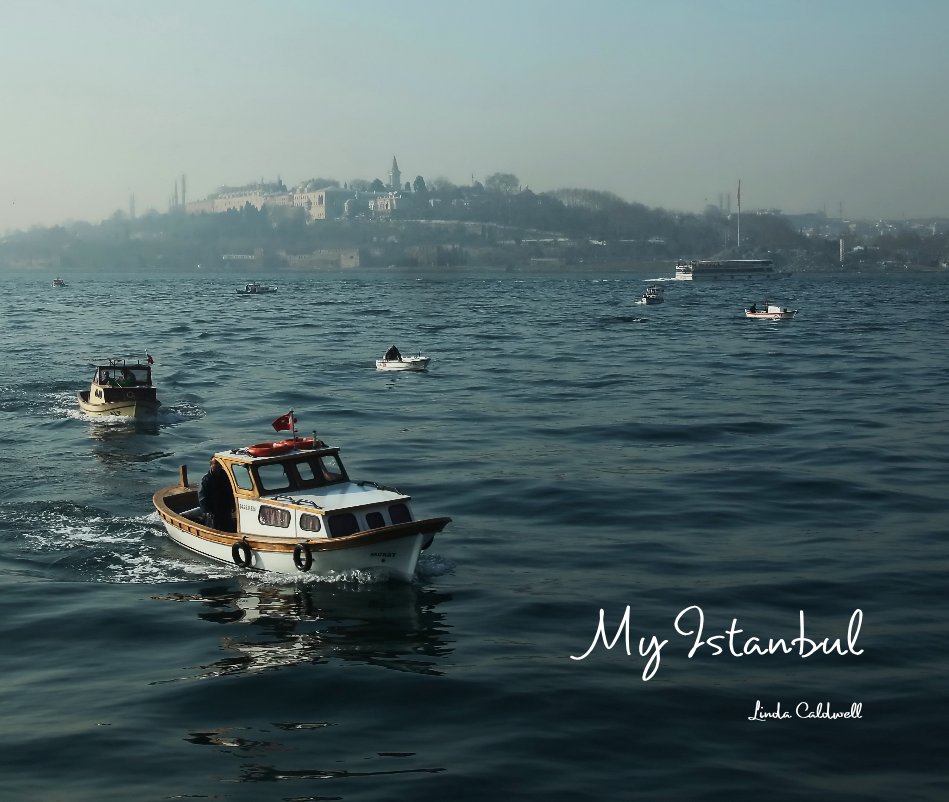 View My Istanbul by Linda Caldwell