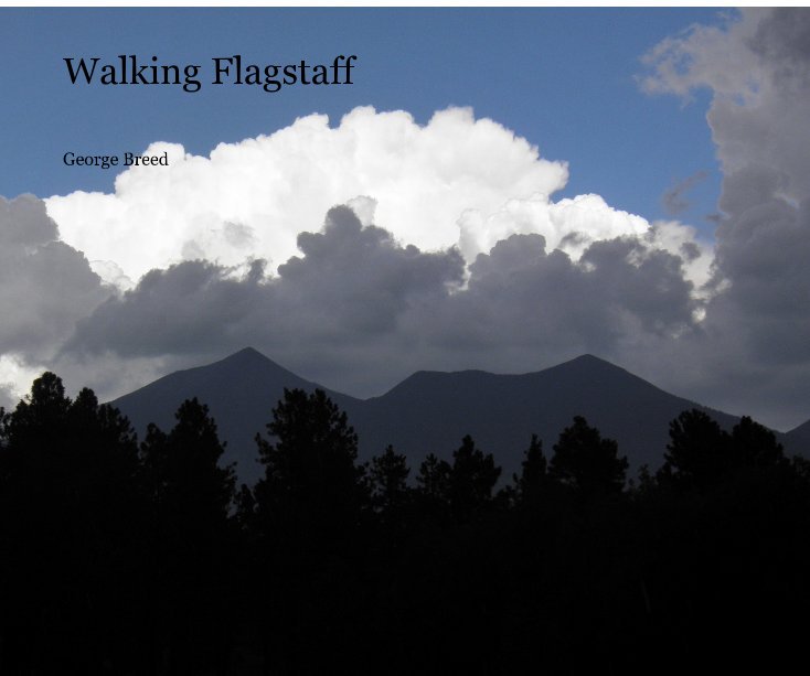 View Walking Flagstaff by George Breed