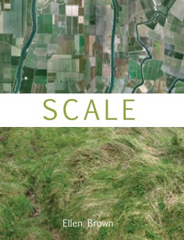 Scale book cover