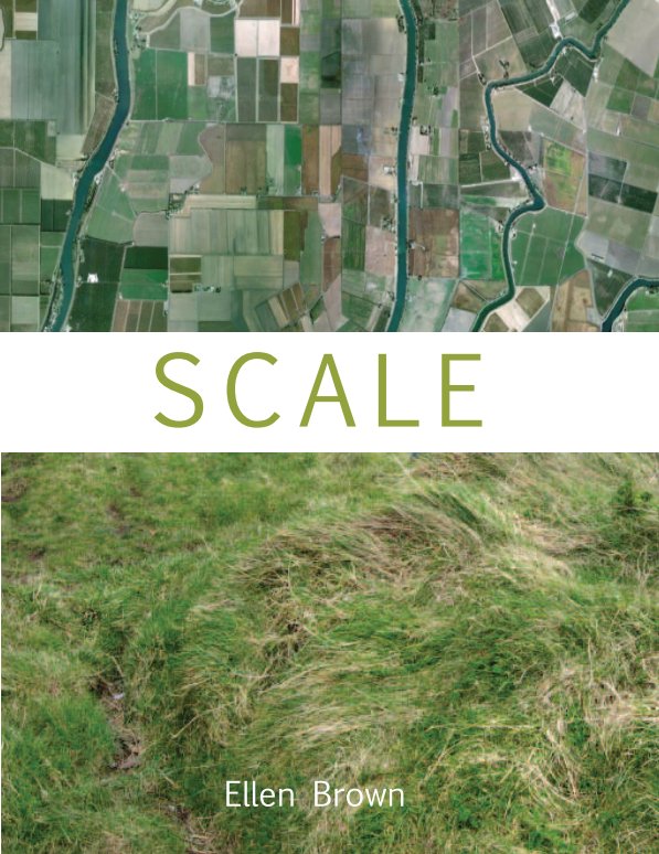 View Scale by Ellen Brown