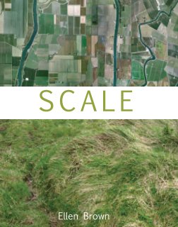 Scale book cover