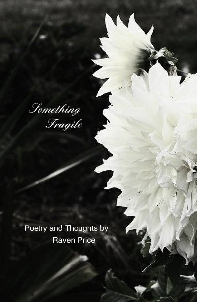 View Something Fragile by Poetry and Thoughts by Raven Price