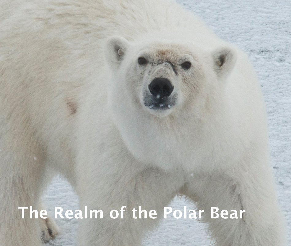 View The Realm of the Polar Bear by John Scott