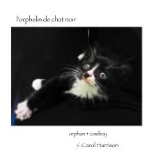 l'orphelin de chat noir book cover