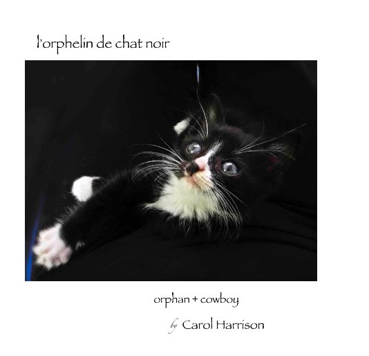 Ver l'orphelin de chat noir por Carol Harrison