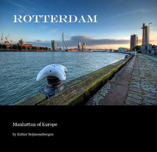 View Rotterdam by Esther Seijmonsbergen