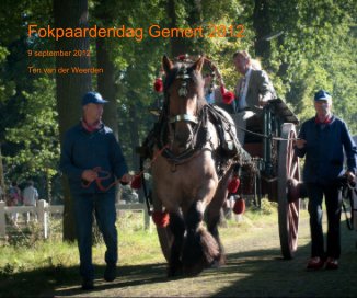 Fokpaardendag Gemert 2012 book cover