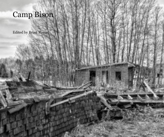 Camp Bison book cover
