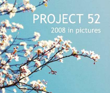 PROJECT 52: 2008 in pictures book cover