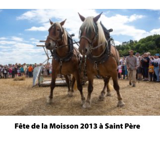 Fête de la Moisson 2013 à Saint Père book cover