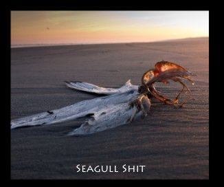 Seagull Shit book cover