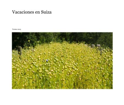 Vacaciones en Suiza book cover