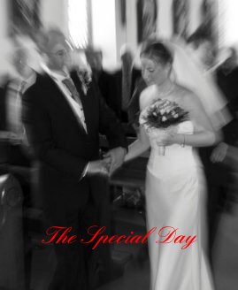 The Special Day book cover