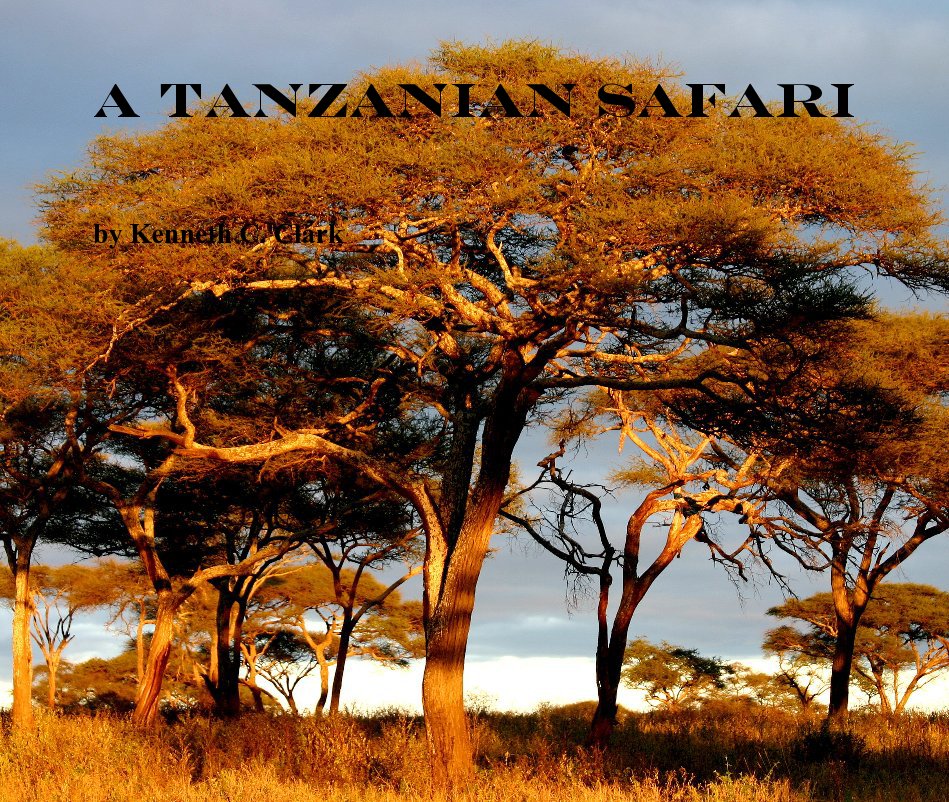 View A Tanzanian Safari by Kenneth C. Clark