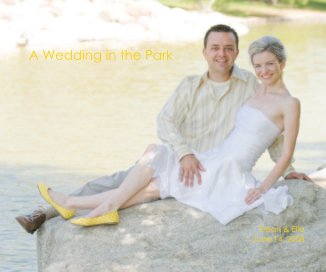 A Wedding in the Park book cover