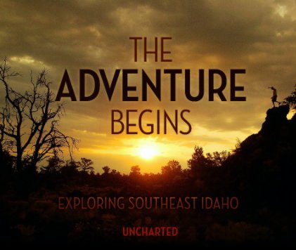 The Adventure Begins book cover
