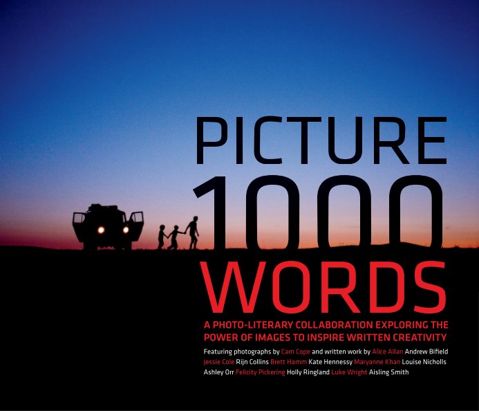 View Picture 1000 Words (Soft Cover) by Cam Cope