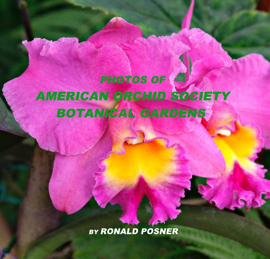 Ver PHOTOS OF AMERICAN ORCHID SOCIETY BOTANICAL GARDENS por RONALD POSNER