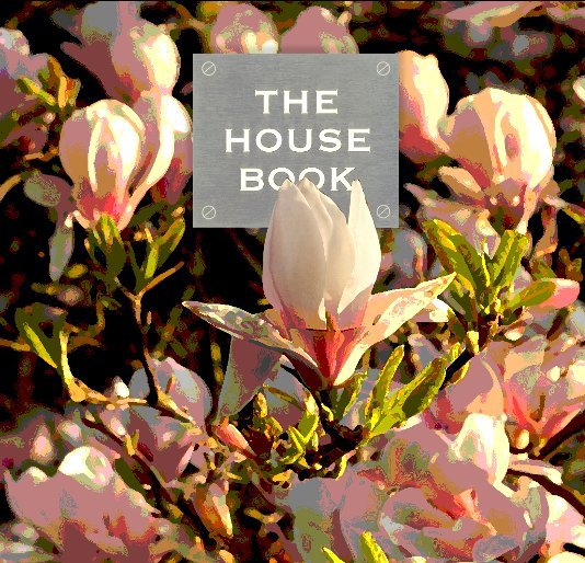 Ver THE HOUSE BOOK por ruthie morris