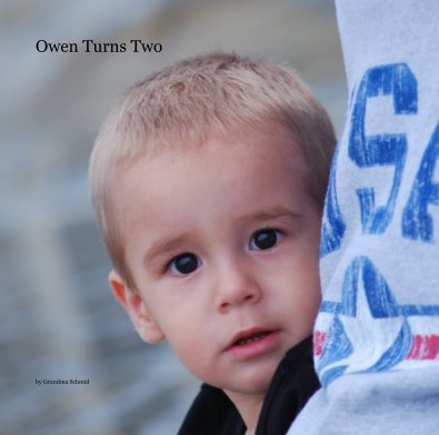 Owen Turns Two book cover
