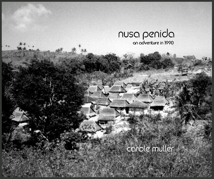 View Nusa Penida by Carole Muller