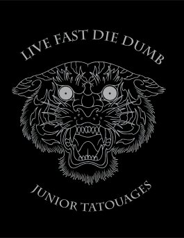LIVE FAST DIE DUMB book cover