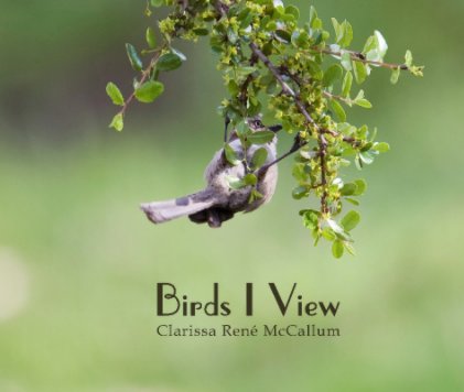 Birds I View book cover