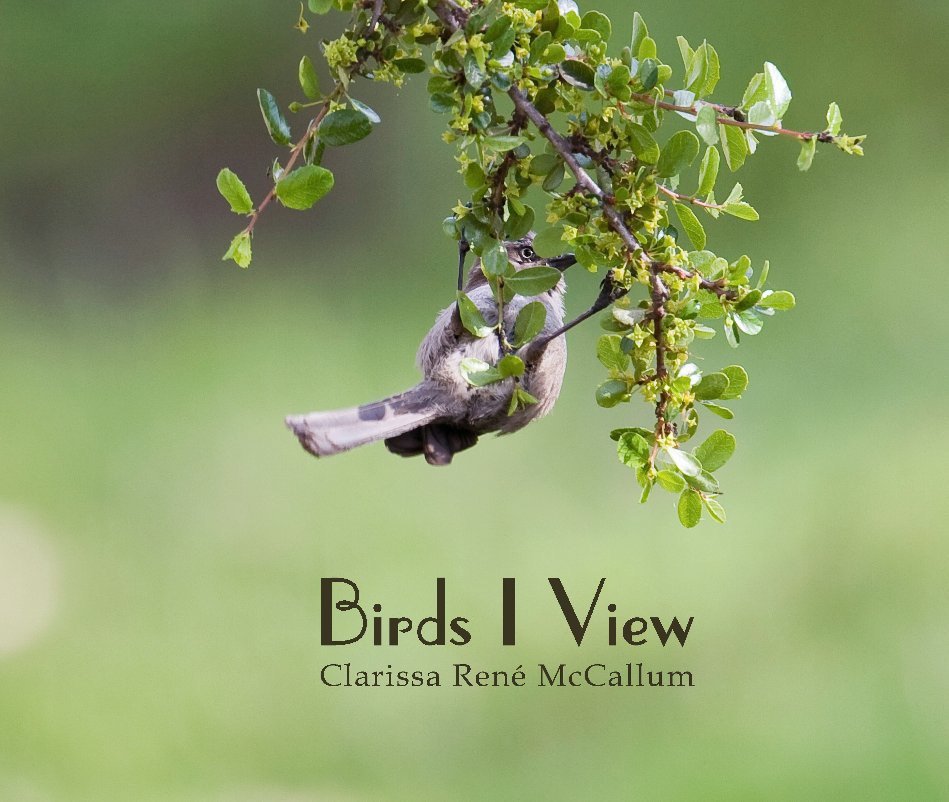 View Birds I View by Clarissa R. McCallum