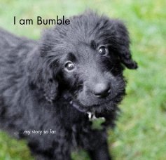 I am Bumble book cover