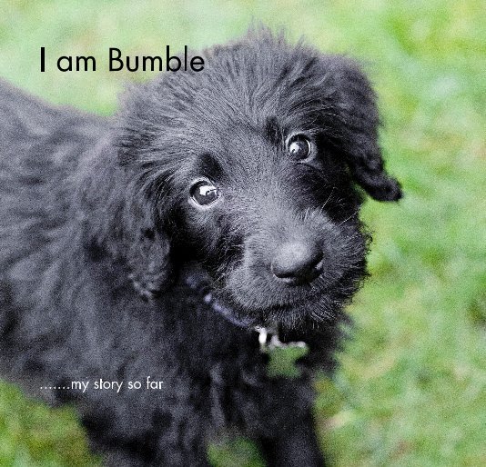 Ver I am Bumble por PhilMelia